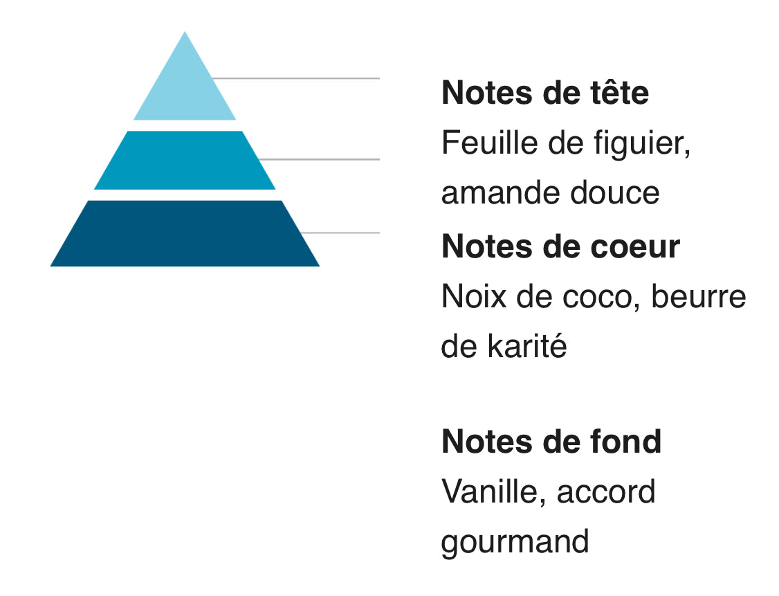 Parfums Solides & Fondants 65G
