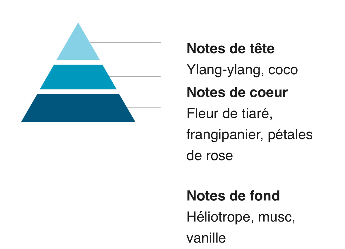 Parfums Solides & Fondants 65G