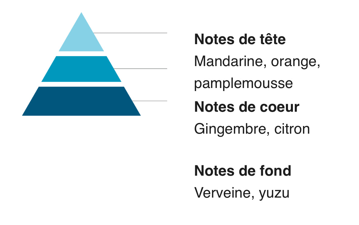 Parfums Solides & Fondants 65G