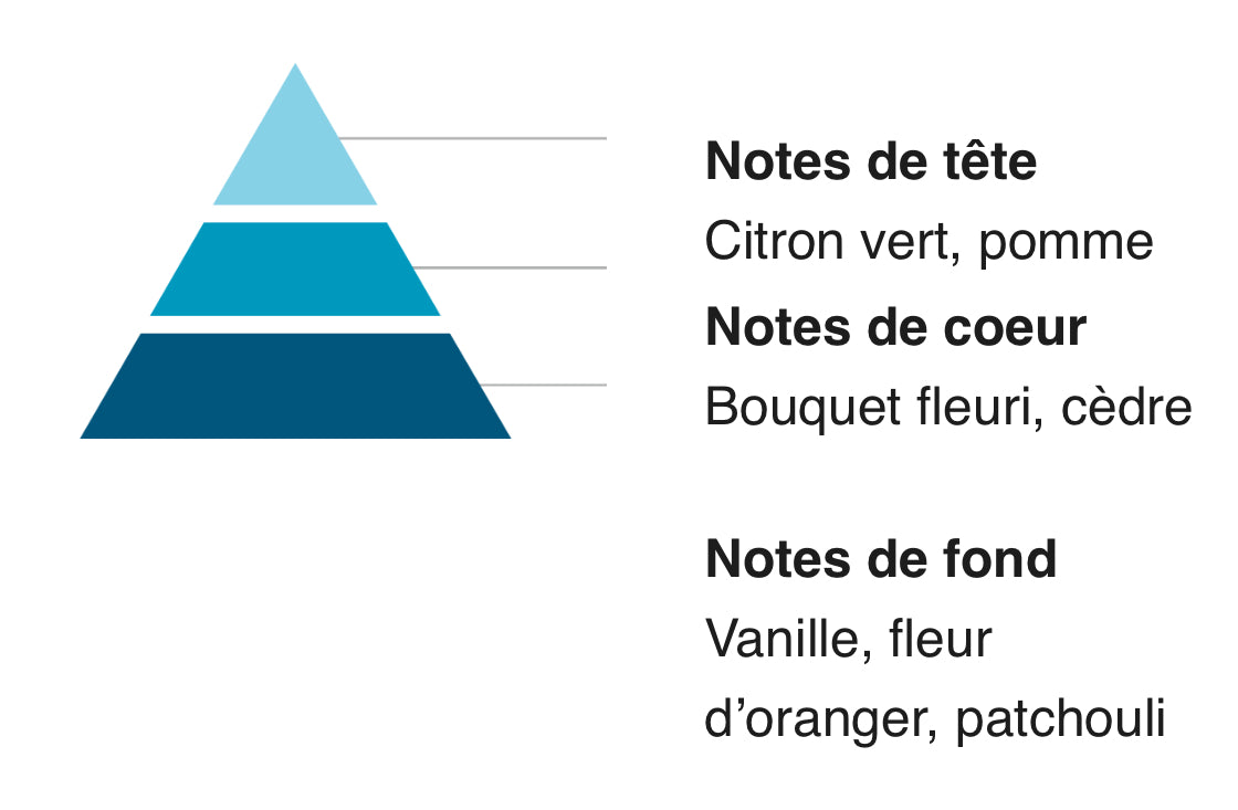 Parfums Solides & Fondants 65G