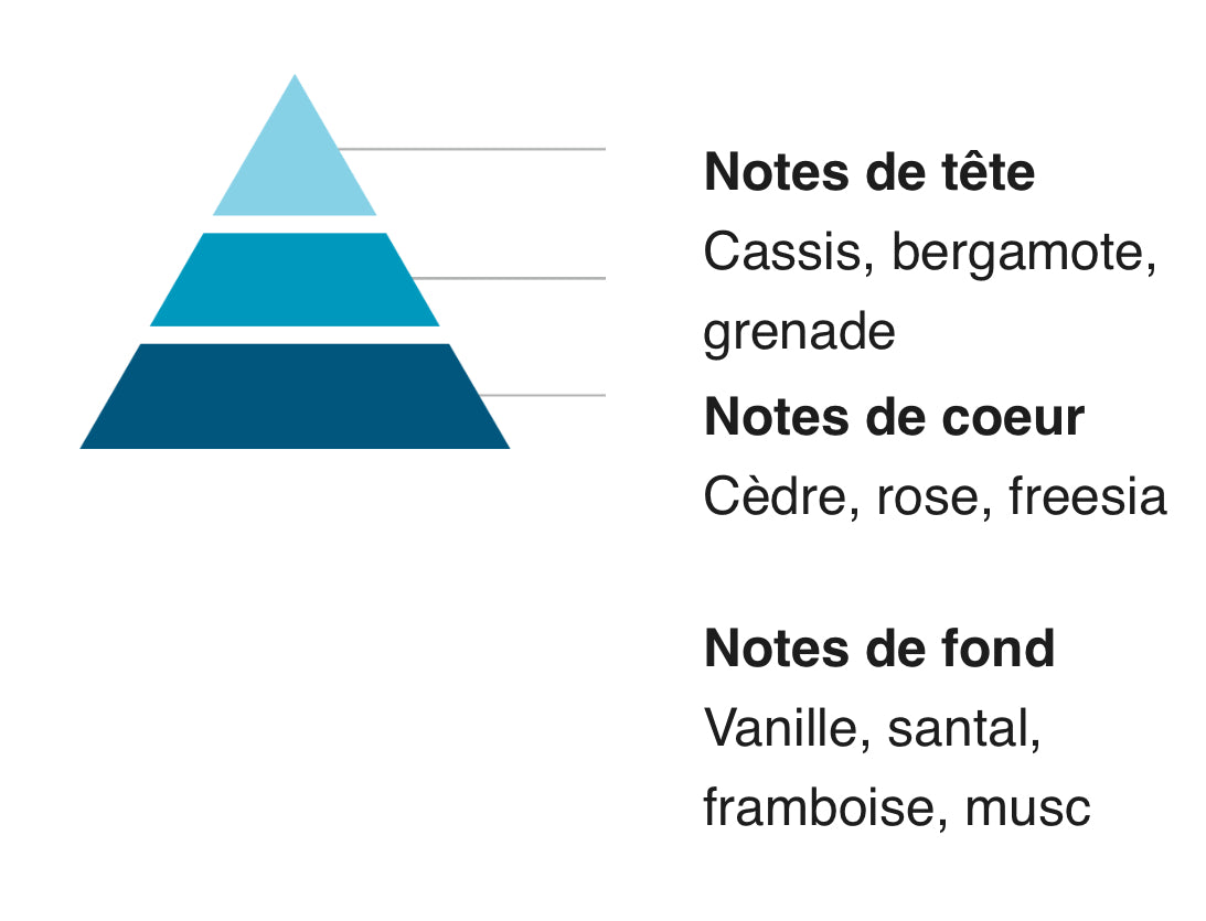 Parfums Solides & Fondants 65G