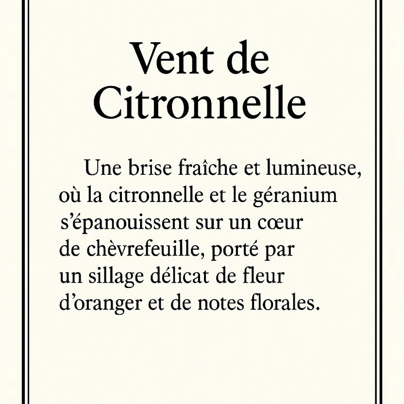 Parfums de voiture